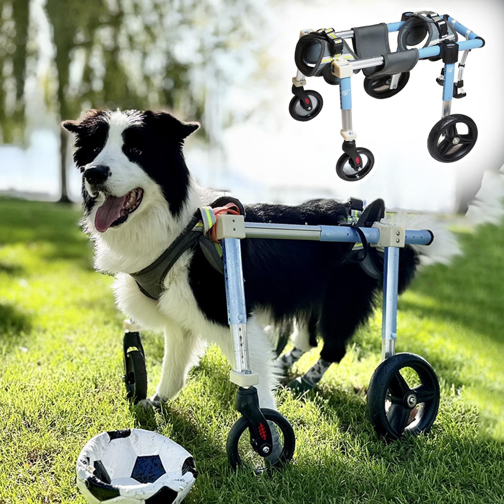 Amazon.co.jp: 可動性サポート用調節可能な犬用車いす 2/4 ホイール